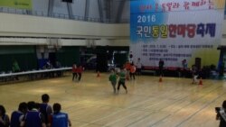 [오디오] 탈북민과 함께 하는 '국민통일 한마당 축제' 열려