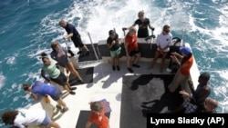 A group of University of Miami students and first-generation college-bound students joined researchers in a shark tagging mission in the Florida Keys.