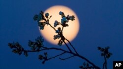 La face de la Lune que l'on voit aujourd'hui est différente de celle qu'elle présentait à la Terre il y a des milliards d'années. (Photo prise
à Washington, mardi 22 mars 2016).