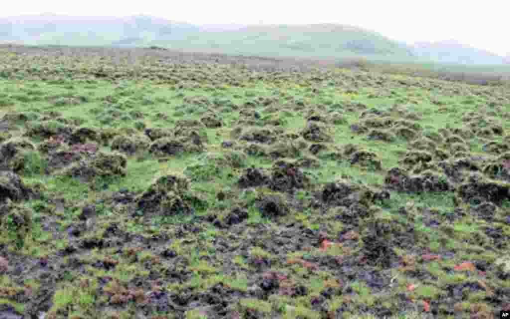 位于四川省阿坝藏族自治洲若尔盖县境内的四川若尔盖湿地自然保护区