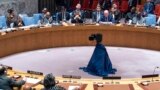 نشست شورای امنیت سازمان ملل متحد - ۵ اردیبهشت ۱۴۰۳ 