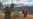 Elephant Poaching Hurting African Tourism