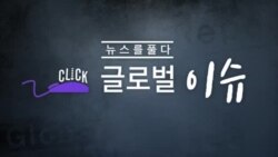 [클릭! 글로벌 이슈] 불타는 호주... 코알라의 비극