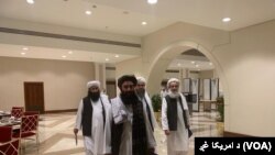 Taliban delegation in Qatar