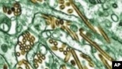 Xe cộ chạy dọc theo đại lộ Tràng An gần Quảng trường Thiên An Môn trong lúc <span class="dateline"><span>lửa khói bốc lên từ chiếc xe tại một nơi không xa bức hình khổng lồ của Mao Trạch Đông.</span></span><br />
