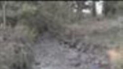 2012-08-07 美國之音視頻新聞: 新西蘭湯加里羅火山發生短暫噴發