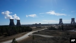 Nuclear Plant-Georgia