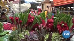 Volunteers Prepare Flower-Decked Floats for Rose Parade