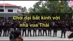 Chớ dại bất kính với nhà vua Thái