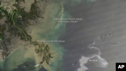 Satellite image of the Gulf of Mexico oil slick, 25 Apr 2010