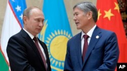 Qirg'iziston Prezidenti Almazbek Atambayev (o'ngda) Rossiya rahbari Vladimir Putin bilan, Bishkek, Qirg'iziston, 13-sentabr, 2013-yil.