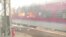 Indian Trains Set Ablaze During Protests 