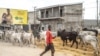 FILE - A man leads his cows on the roadside in western Cameroon, Jan. 18, 2022. Cameroon officials say more than two million people are facing hunger along its northern borders. 