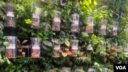 [헬로 서울] 서울식물원 씨앗도서관