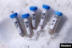 Samples containing snow and the Sanguina nivaloides algae, also known as "snow blood." (REUTERS/Denis Balibouse)