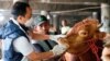 Petugas Ketahanan Pangan Kelautan dan Pertanian memeriksa sapi di toko ternak untuk mencegah penyebaran penyakit mulut dan kuku di Tanjung Priok, Jakarta Utara, 24 Juni 2022. (Foto: REUTERS/Ajeng Dinar Ulfiana)