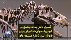 فسیل کامل یک دایناسور در نیویورک حراج شد؛ پیش‌بینی فروش بین ۵ تا ۸ میلیون دلار