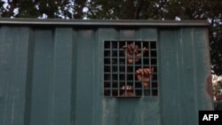 FILE—The hands of recaptured inmates are seen inside a prison vehicle in Abuja, Nigeria on July 6, 2022, after suspected Boko Haram gunmen attacked the Kuje Medium Prison. 