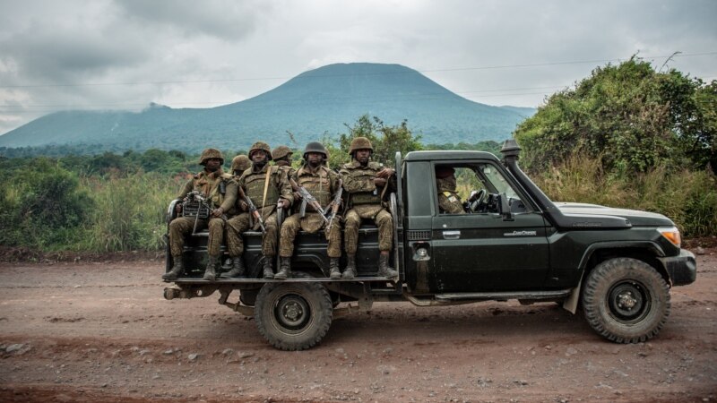 La RDC menace de militariser le parc des Virunga si d'autres pays ne condamnent pas le Rwanda