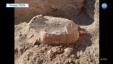 Pompei'de Bir Kaplumbağa ve Yumurtasının Fosili Bulundu