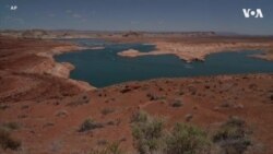 鲍威尔湖水位下降导致入侵鱼类威胁原生种群 