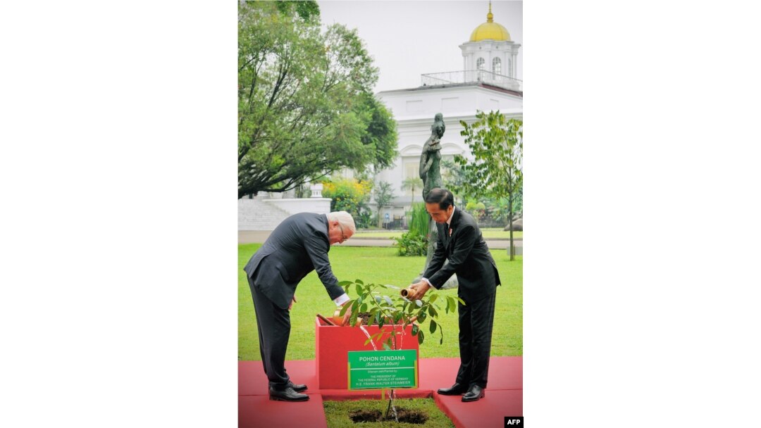 Presiden Joko Widodo (kanan) dan Presiden Jerman Frank-Walter Steinmeier menyirami tanaman di Istana Kepresidenan RI di Bogor, 16 Juni 2022. (Handout / ISTANA PRESIDEN INDONESIA / AFP)