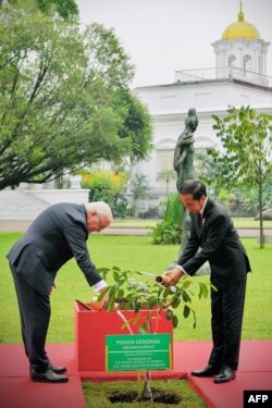 Presiden Joko Widodo (kanan) dan Presiden Jerman Frank-Walter Steinmeier menyirami tanaman di Istana Kepresidenan RI di Bogor, 16 Juni 2022. (Handout / ISTANA PRESIDEN INDONESIA / AFP)