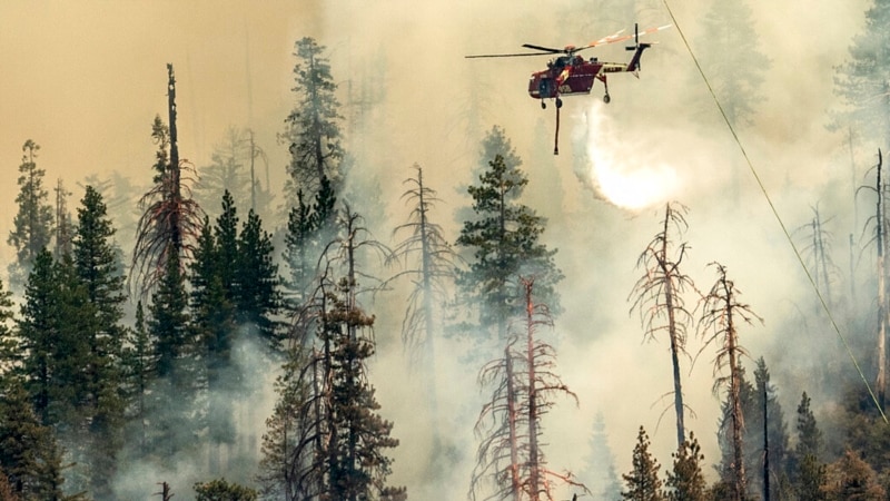Environ 2000 pompiers déployés pour combattre un feu de forêt en Californie