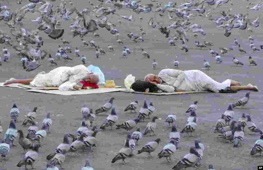 Pigeons surround pilgrims outside the the Grand Mosque in the Saudi Arabia's holy city of Mecca.