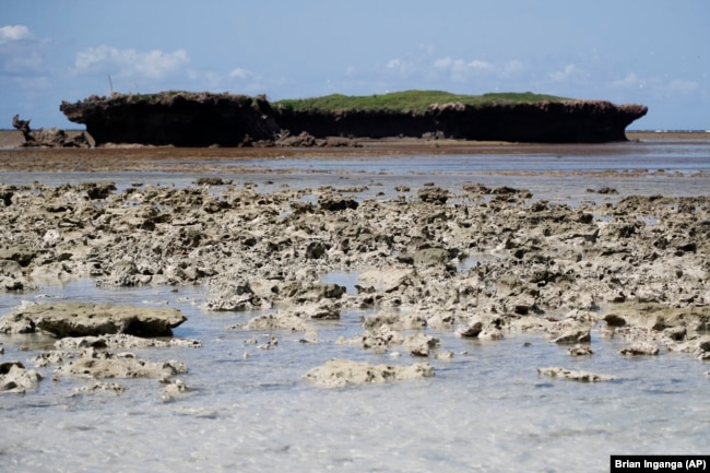 Damaged reef is visible off the island of Kisite Mpunguti, Kenya, Wednesday, June 15, 2022. (AP Photo/Brian Inganga)