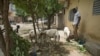 Préparatifs de la tabaski à Bamako : les clients butent sur la cherté du mouton 