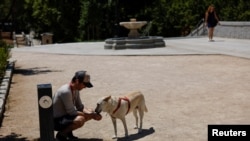 Seorang pria tampak memberi anjing peliharaannya air di Madrid, Spanyol, di tengah gelombang panas yang melanda negara tersebut pada 10 Juli 2022. (Foto: Reuters/Susana Vera)