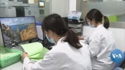 US Torn Between Vetting Foreign Researchers, Need for Innovation