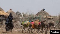 A woman drives donkeys to transport jerrycans of water in drought affected areas in Higlo Kebele, Adadle woreda, Somali region of Ethiopia, in this undated handout photograph. Michael Tewelde/World Food Program/Handout via REUTERS.