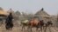A woman drives donkeys to transport jerrycans of water in drought affected areas in Higlo Kebele, Adadle woreda, Somali region of Ethiopia, in this undated handout photograph. Michael Tewelde/World Food Program/Handout via REUTERS.