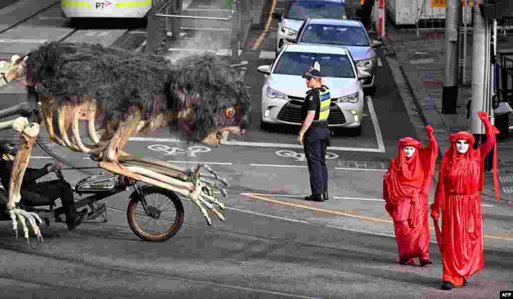 &quot;Blinky&quot; (L), a large burning part-skeleton, part-koala creation, is wheeled down a street outside the Victoria state parliament during a protest in Melbourne, Australia.&nbsp;Members of environmental groups gathered to call on MPs to reject proposed new laws that include severe penalties for citizens who enter logging sites to protest.