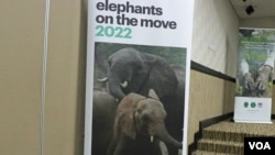 A banner placed against a wall promotes this year's elephant translocation efforts in Malawi. (Lameck Masina/VOA)