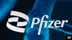 FILE: The Pfizer logo is displayed at the company's headquarters in New York. Taken 2.5.2021