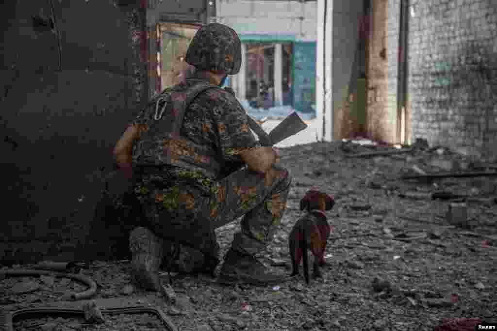 A Ukrainian service member and his dog observe the industrial area of the city of Sievierodonetsk, as Russia&#39;s attack on Ukraine continues.