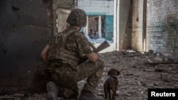 A Ukrainian service member with a dog observes in the industrial area of the city of Sievierodonetsk, as Russia's attack on Ukraine continues, June 20, 2022.