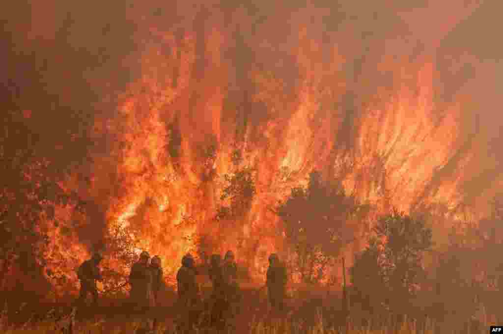 Firefighters extinguish a wildfire in Pumarejo de Tera near Zamora, northern Spain, June 18, 2022.