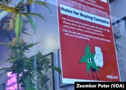 The Highland Café displays a sign explaining Thailand's new rules for selling cannabis on its shopfront window in Bangkok.
