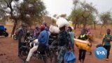 Diallasagou danteme wale dankari kasarato maw muso naani ka, seereyaw