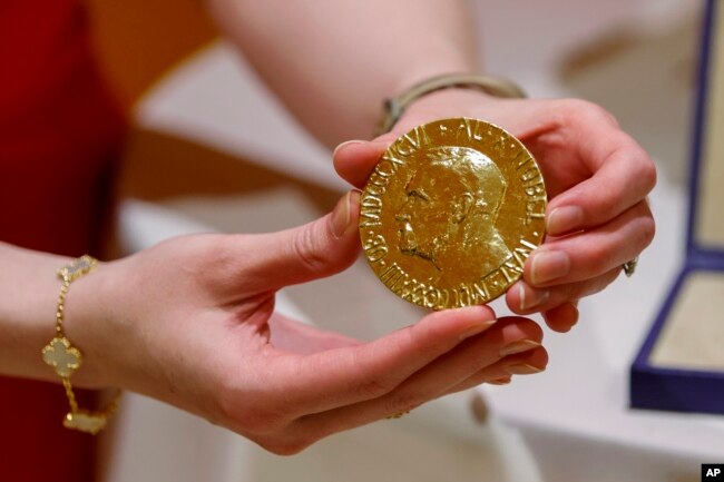 A worker holds Russian journalist Dmitry Muratov's 23-karat gold medal of the 2021 Nobel Peattce Prize before being auctioned at the Times Center, Monday, June 20, 2022, in New York. (AP Photo/Eduardo Munoz Alvarez)