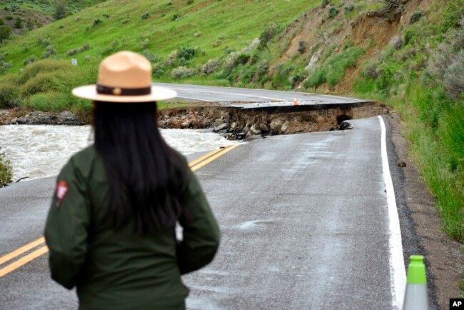 FILE - A Yellowstone National Park ranger stands near a road wiped out by flooding along the Gardner River, near Gardiner, Mont., June 19, 2022.
