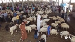 Lênerîna Amadekarîyên Eyda Qurbanê li Mûsilê