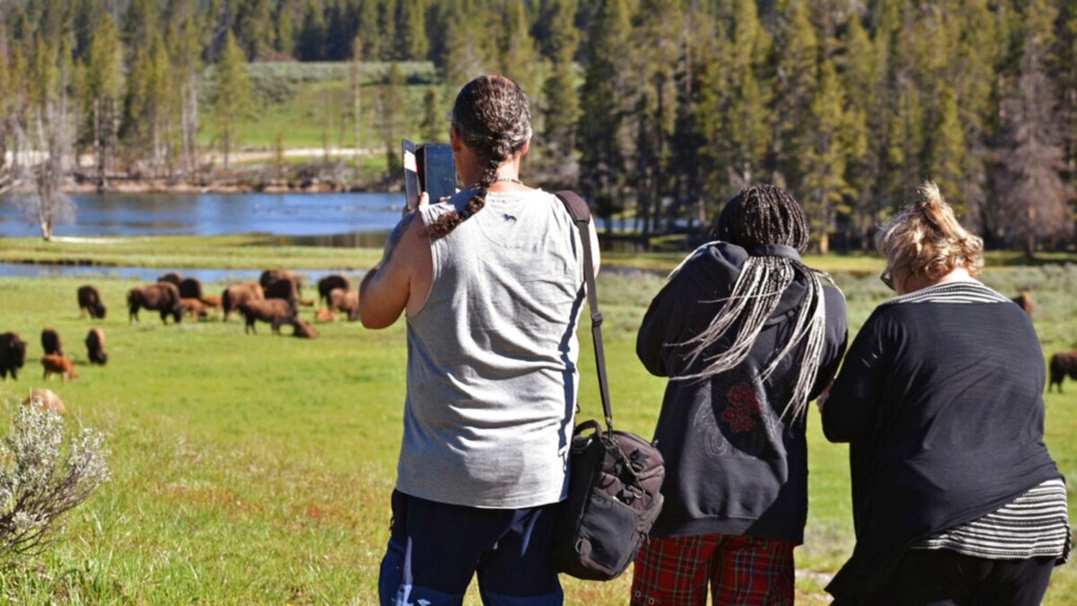 Crowds Flock to Yellowstone as Park Reopens After Floods - Vimarsana News
