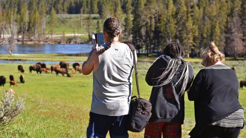 Crowds Flock to Yellowstone as Park Reopens After Floods