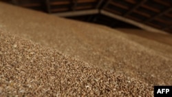 FILE - This photograph taken June 14, 2022, shows wheat in a grain storage facility on a farm near Izmail, in the Odesa region.