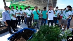 Entrepreneurs learn how to grow cannabis plants at a cannabis farm in Chonburi province, eastern Thailand on June 5, 2022.